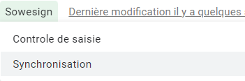 Fichier Google Sheets stage, menu SoWeSign : option Synchronisation pour lancer l'import